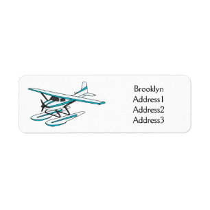 Illustration d'hydravion bleu blanc