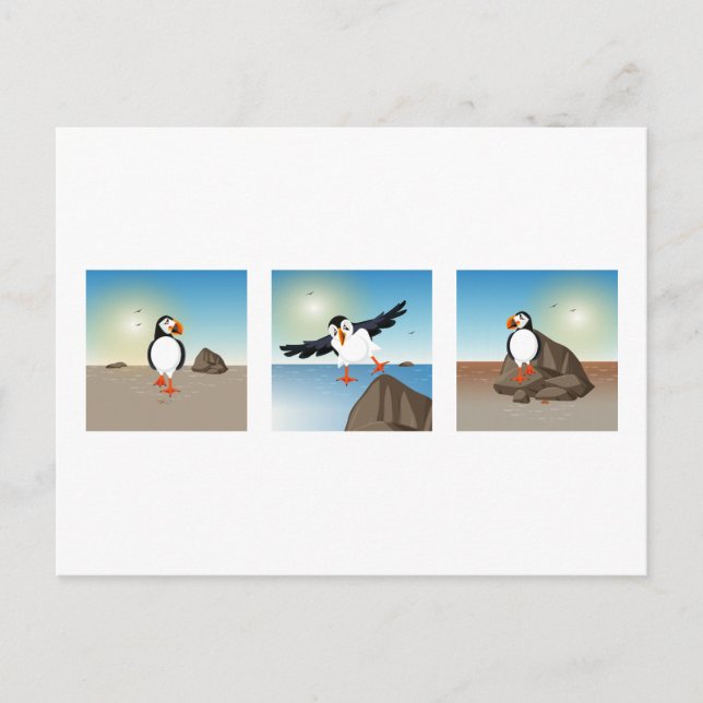 Illustration d'oiseau - Carte postale du Macareux (Devant)