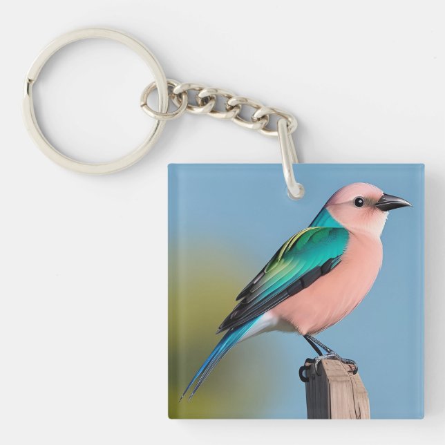 🐦 Illustration d'oiseau coloré pour style nature  (Devant)