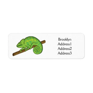 Illustration du caméléon de la parson