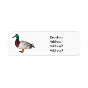Illustration du canard de Majard