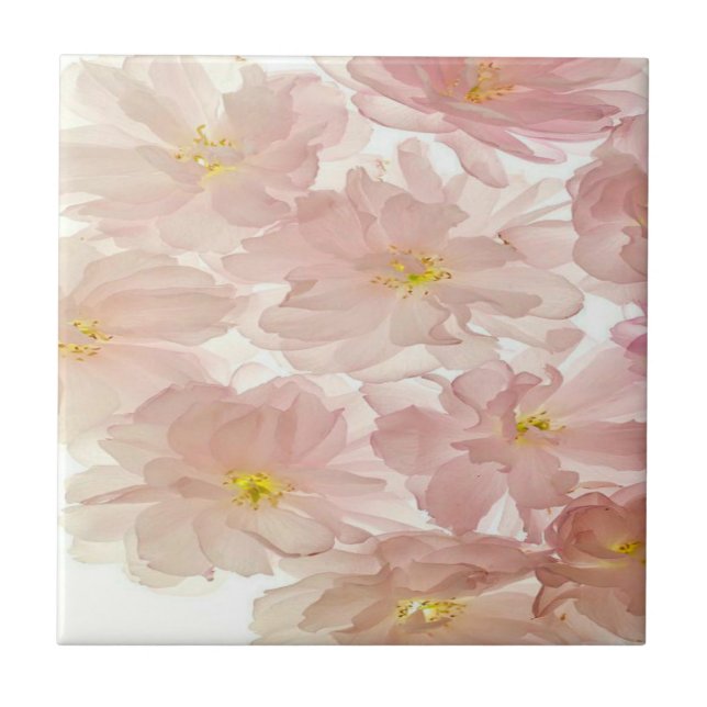Illustration flora printed title tile (Front)