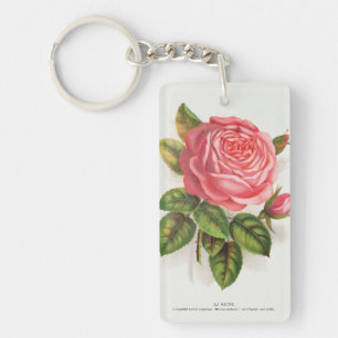 Illustration Florale Rose Rose Antique Cottagecore