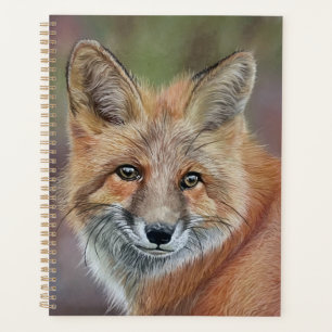 Illustration Fox planificateur quotidien