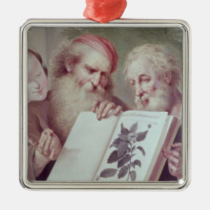Illustration from Hortus Cliffortianus Metal Ornament