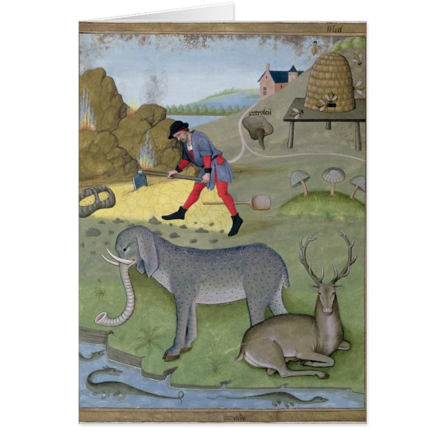 Illustration from the 'Book of Simple (Front)