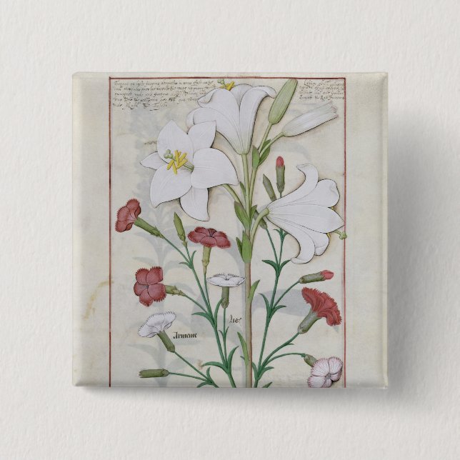 Illustration from the 'Book of Simple 2 Inch Square Button (Front)