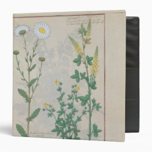 Illustration from 'The Book of Simple Binder