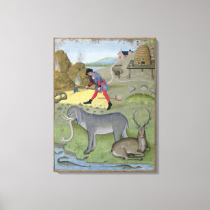 Illustration from the 'Book of Simple Canvas Print