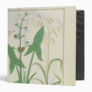 Illustration from the 'Book of Simple Medicines' 2 Binder