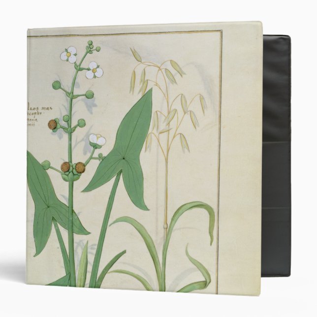 Illustration from the 'Book of Simple Medicines' 2 Binder (Front/Inside)