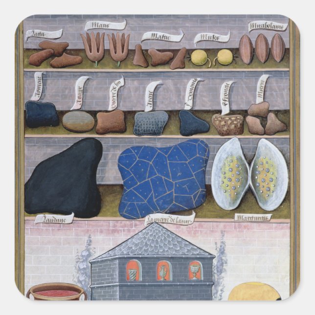 Illustration from the 'Book of Simple Medicines' 2 Square Sticker (Front)