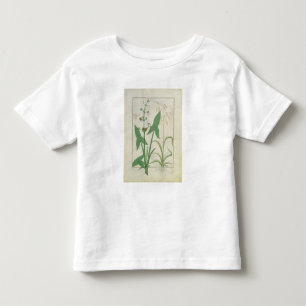 Illustration from the 'Book of Simple Medicines' 2 Toddler T-shirt