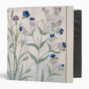 Illustration from the 'Book of Simple Medicines' 3 Binder