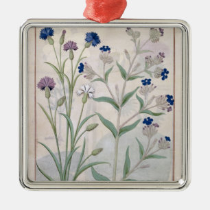 Illustration from the 'Book of Simple Medicines' 3 Metal Ornament