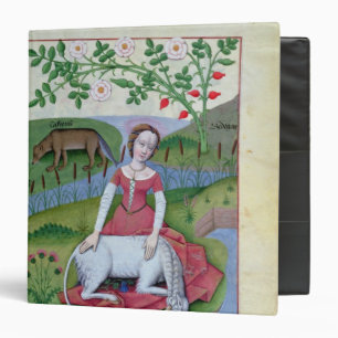 Illustration from the 'Book of Simple Medicines' Binder