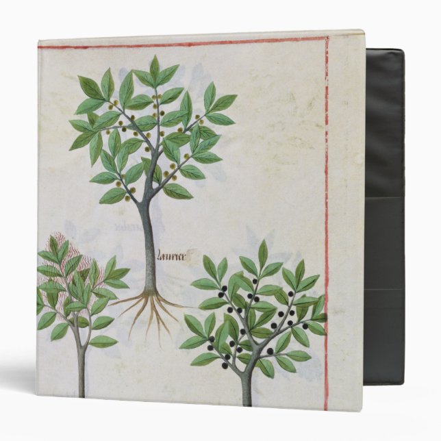 Illustration from the 'Book of Simple Medicines' Binder (Front/Inside)