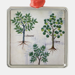 Illustration from the 'Book of Simple Medicines' Metal Ornament