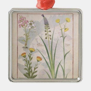 Illustration from the 'Book of Simple Medicines' Metal Ornament
