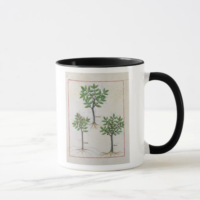 Illustration from the 'Book of Simple Medicines' Mug (Right)