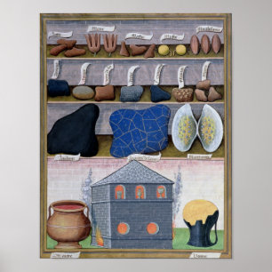 Illustration from the 'Book of Simple Medicines' Poster