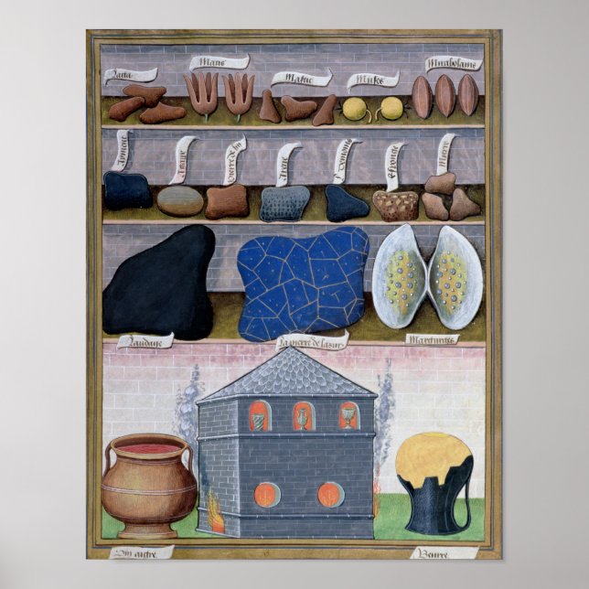 Illustration from the 'Book of Simple Medicines' Poster (Front)