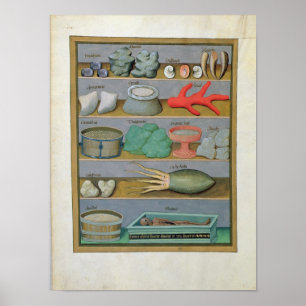 Illustration from the 'Book of Simple Medicines' Poster