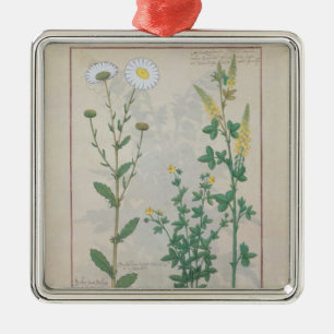 Illustration from 'The Book of Simple Metal Ornament