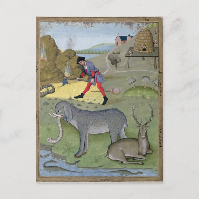 Illustration from the 'Book of Simple Postcard (Front)