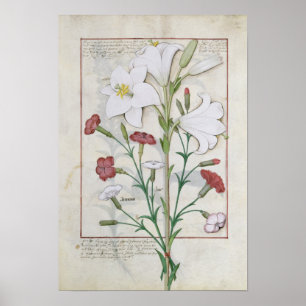 Illustration from the 'Book of Simple Poster