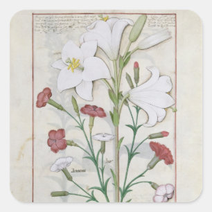 Illustration from the 'Book of Simple Square Sticker