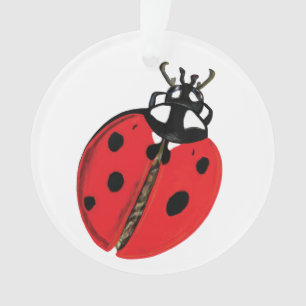 Illustration Lady Bug