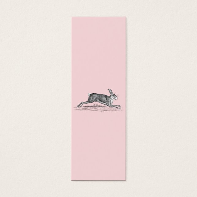 Illustration lapin lièvre vintage - lapins (Devant)