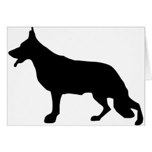 illustration minimale du berger