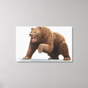 Illustration of a Brown bear Canvas Print