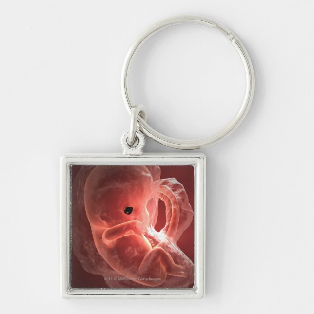 Illustration of a developing embryo keychain (Front)
