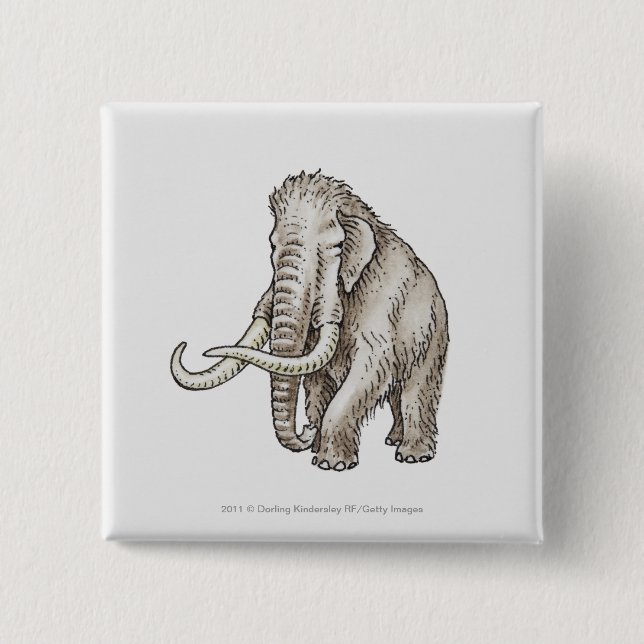 Illustration of a mammoth 2 inch square button (Front)