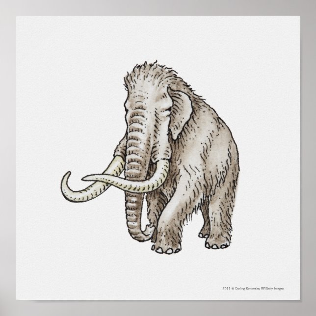 Illustration of a mammoth poster (Front)