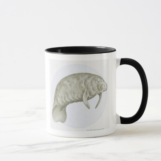 Illustration of a Manatee (Trichechus sp.) Mug (Right)