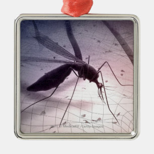 Illustration of a mosquito biting metal ornament