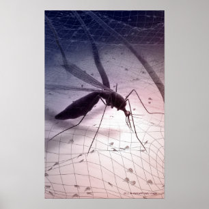 Illustration of a mosquito biting poster