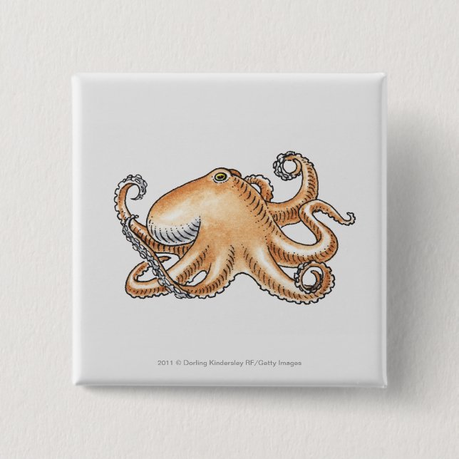 Illustration of an octopus 2 inch square button (Front)