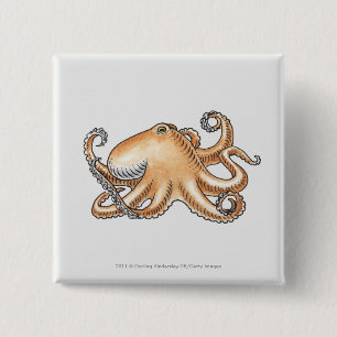 Illustration of an octopus 2 inch square button