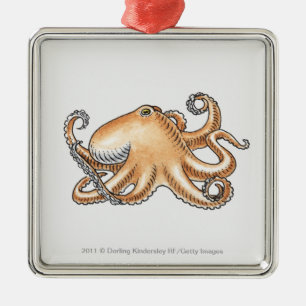 Illustration of an octopus metal ornament