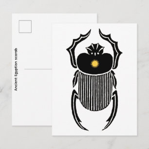 Illustration  of  Ancient Egyptian scarab beetle  Postcard