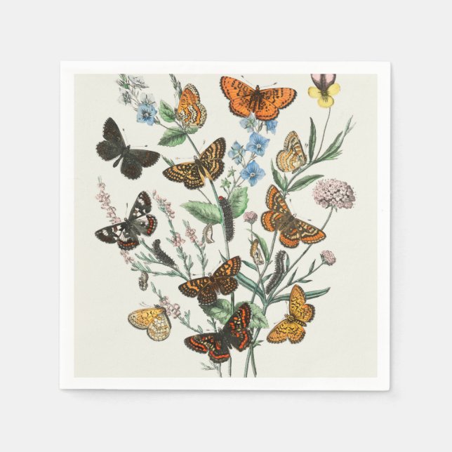 Illustration of butterflies on flowers napkin (Front)