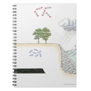 Illustration of carbon cycle on Earth Notebook