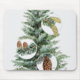 Illustration of coniferous tree with cones mouse pad