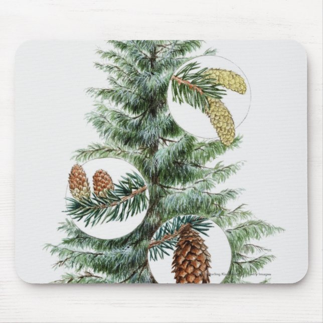 Illustration of coniferous tree with cones mouse pad (Front)