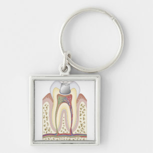Illustration of Dental Filling Keychain
